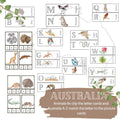AUSTRALIA flashcards |VOCABULARY - Ausisie native animal | morning basket