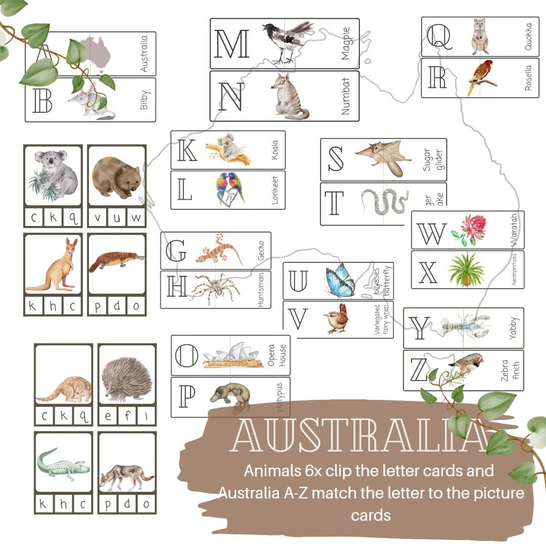 AUSTRALIA flashcards |VOCABULARY - Ausisie native animal | morning basket