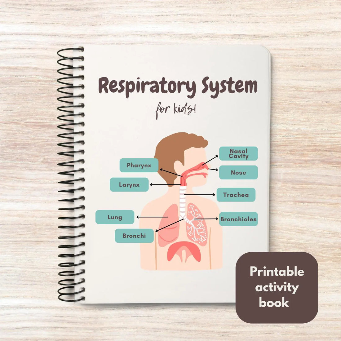 Respiratory activity book | Printable Worksheets | Homeschool Resources | Anatomy Curriculum | Learning Activities | STEM for kids