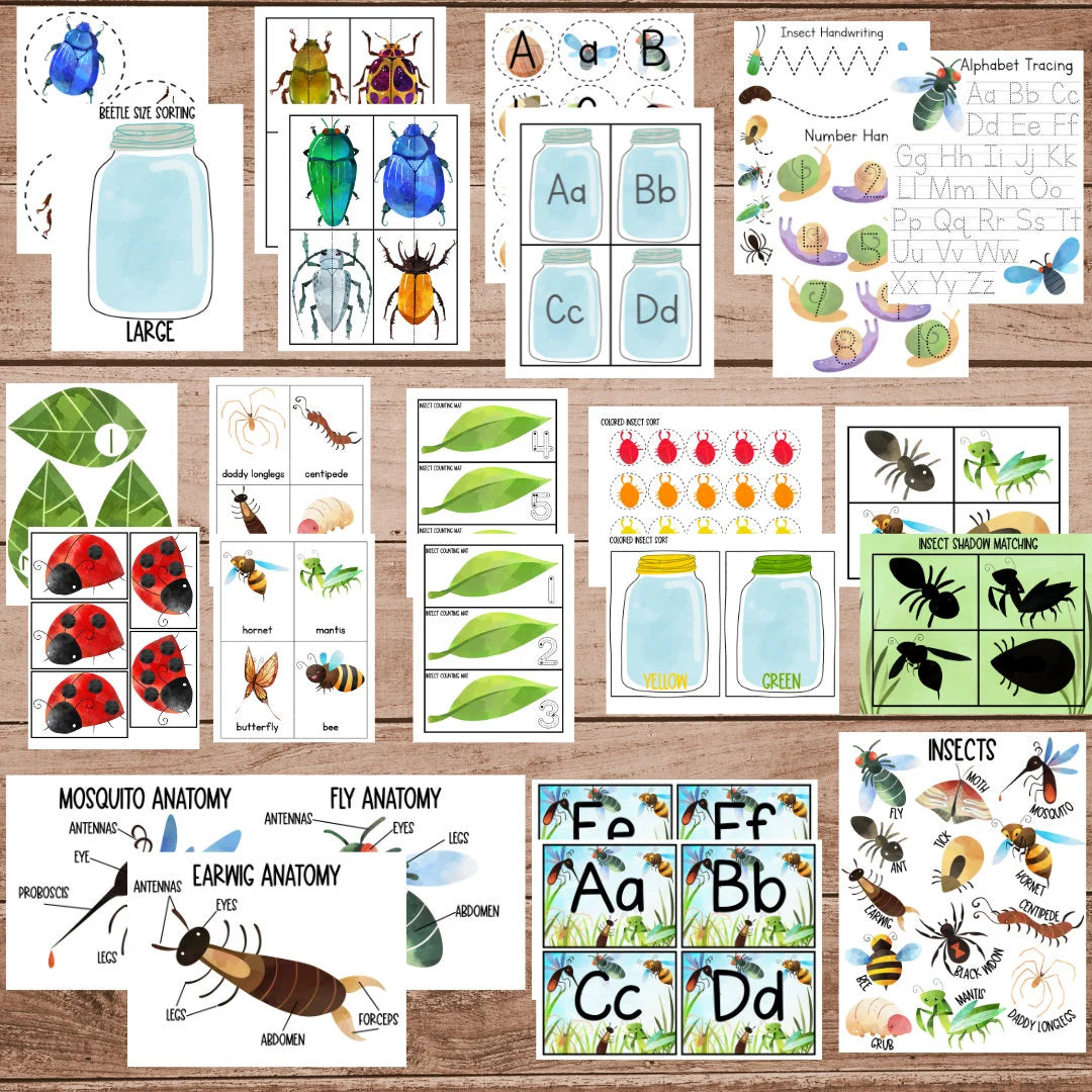 Insect Unit Study, Preschool Curriculum, Preschool Printable, Preschool Learning, Preschool Education, Montessori Materials, Homeschool