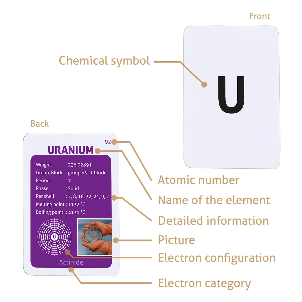 Elements of the Periodic Table flashcards (2025 Version)