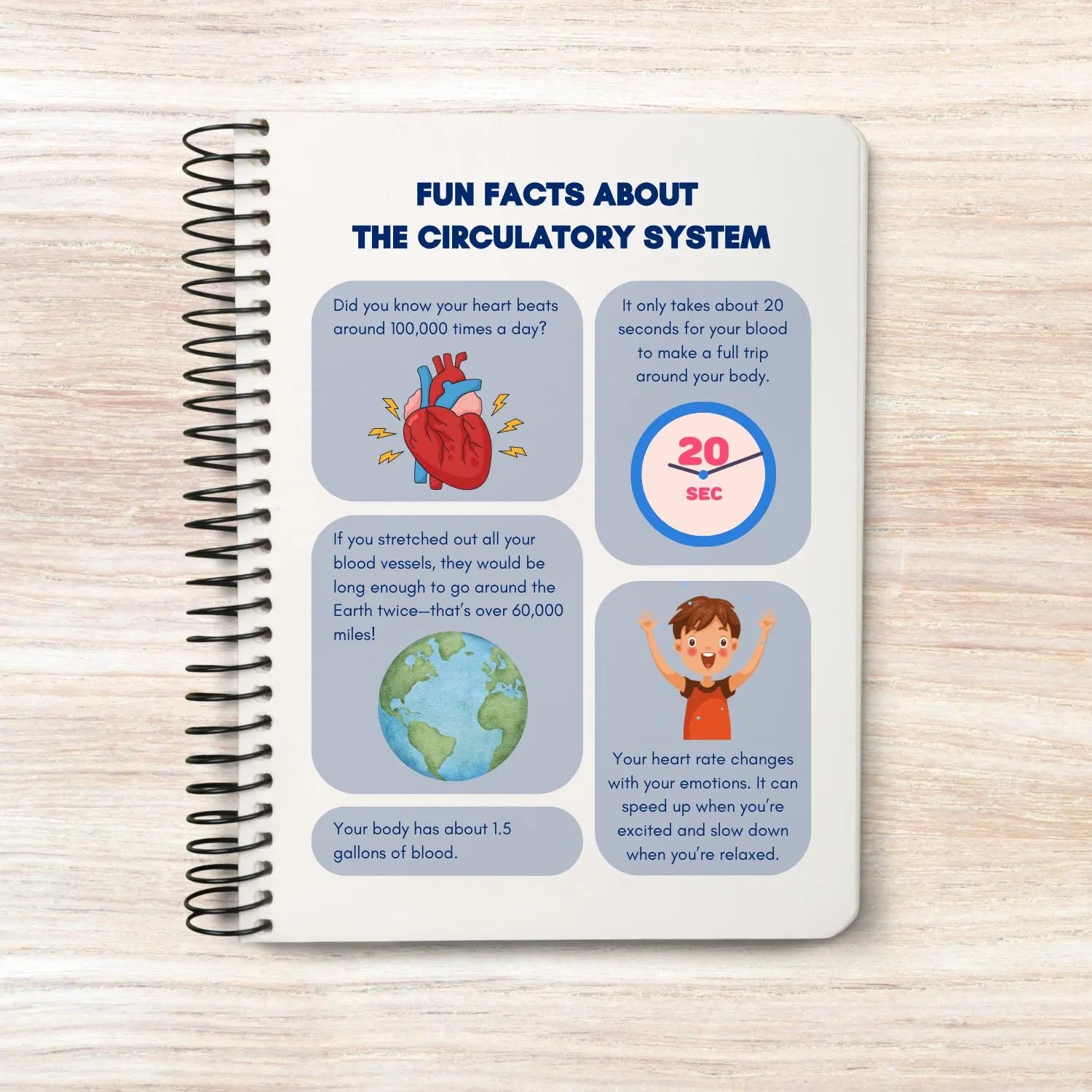 Circulatory system activity book | Printable Worksheets | Homeschool Resources | Anatomy Curriculum | Learning Activities | STEM for kids