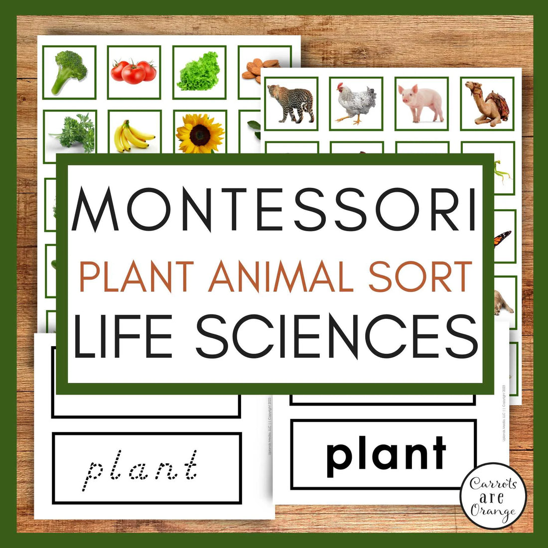 Montessori Science Plant & Animal Sort