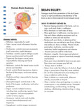 NBCOT Study Guide