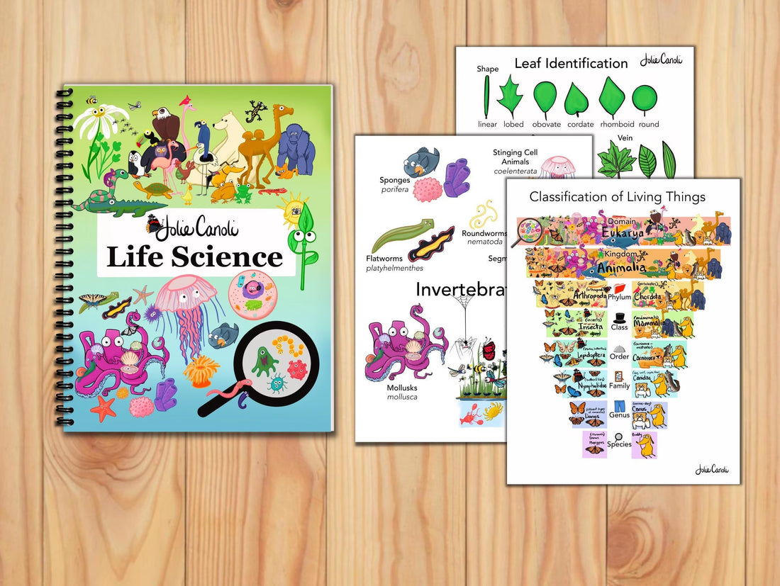 Science Posters and Workbook—12 Elementary Lessons for Kids on Biology & Botany and 14 Corresponding Memory Work Posters