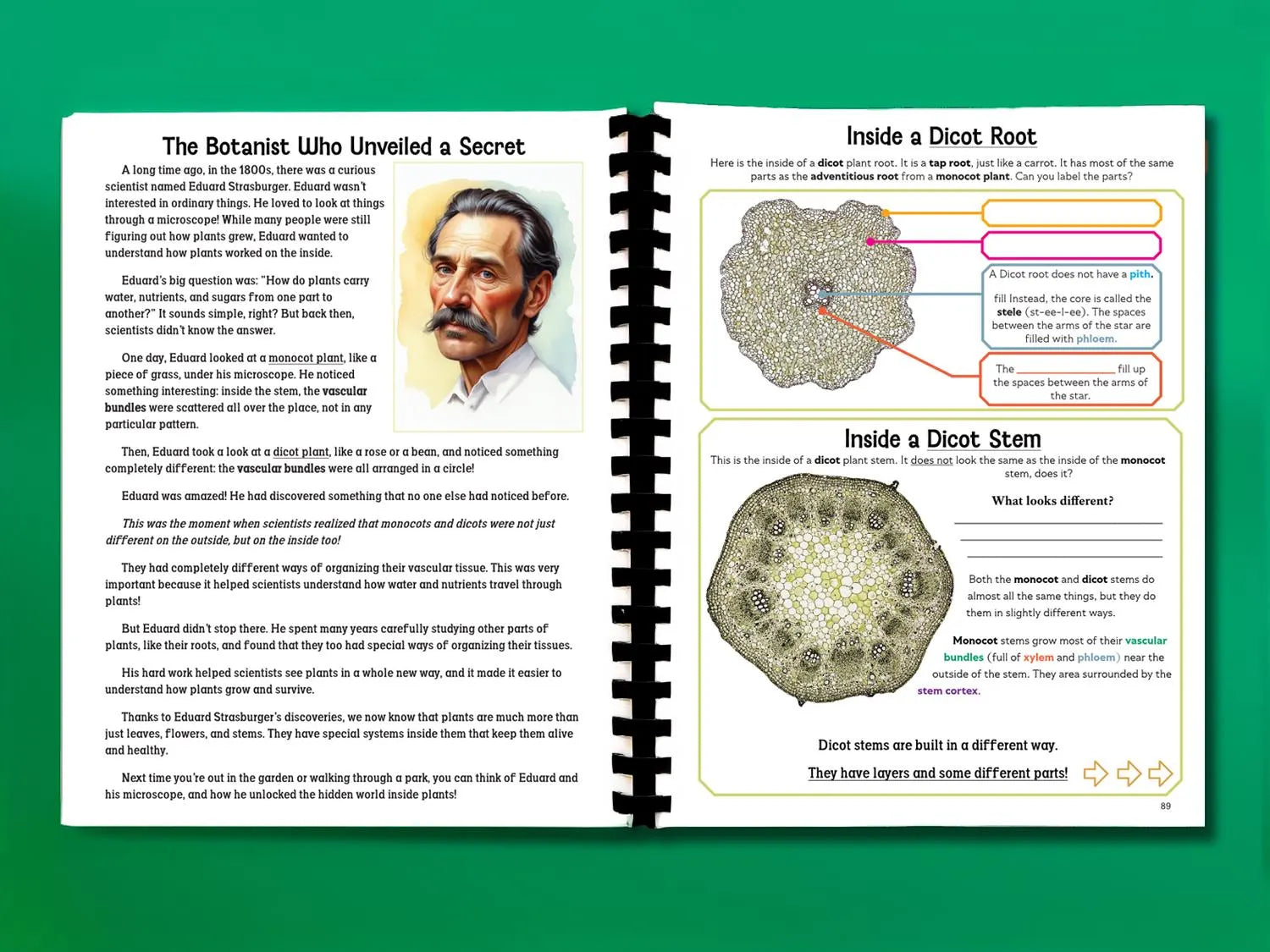 Botany Workbook for Homeschoolers - Grades 5–12 - Creative, Credit-Worthy Plant Science - Homeschool Middle School - Neurodivergent Friendly