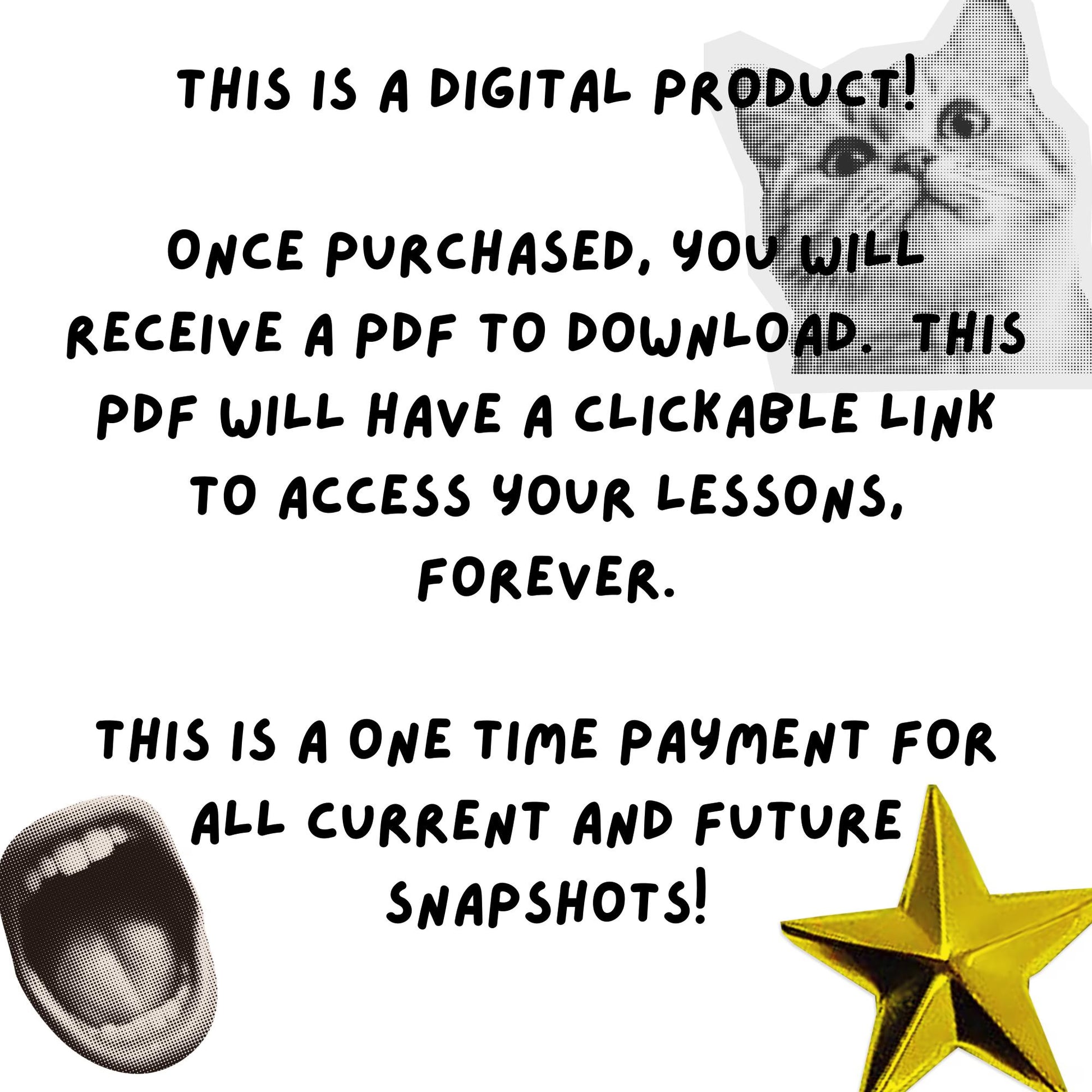 Art History Lesson Mega Bundle | Over 60 lessons - Homeschool Printable | Easy Art Curriculum | Kids Art Appreciation - Homeschool Activity