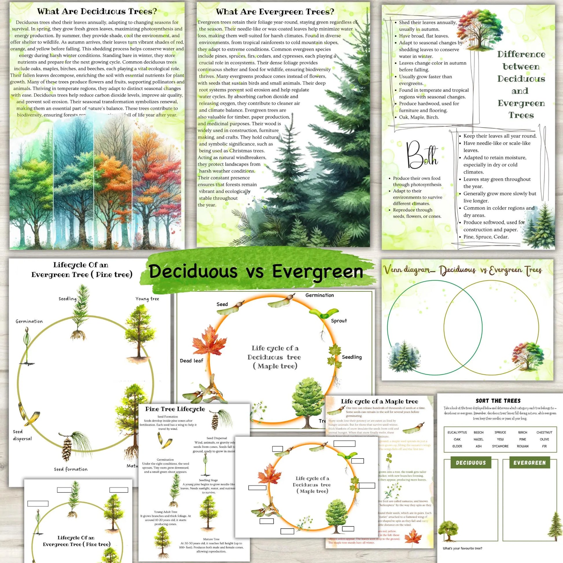 BOTANY bundle, Flower unit, Roots unit, Fruits unit, trees unit, Leaf unit, Anatomy bundle, life cycle, plant science unit, plant homeschool