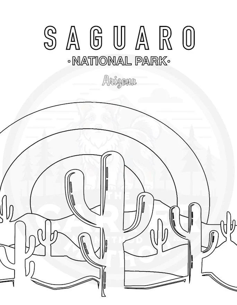 Saguaro National Park Coloring Sheet (8.5"x11")