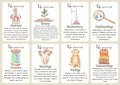 science flash cards