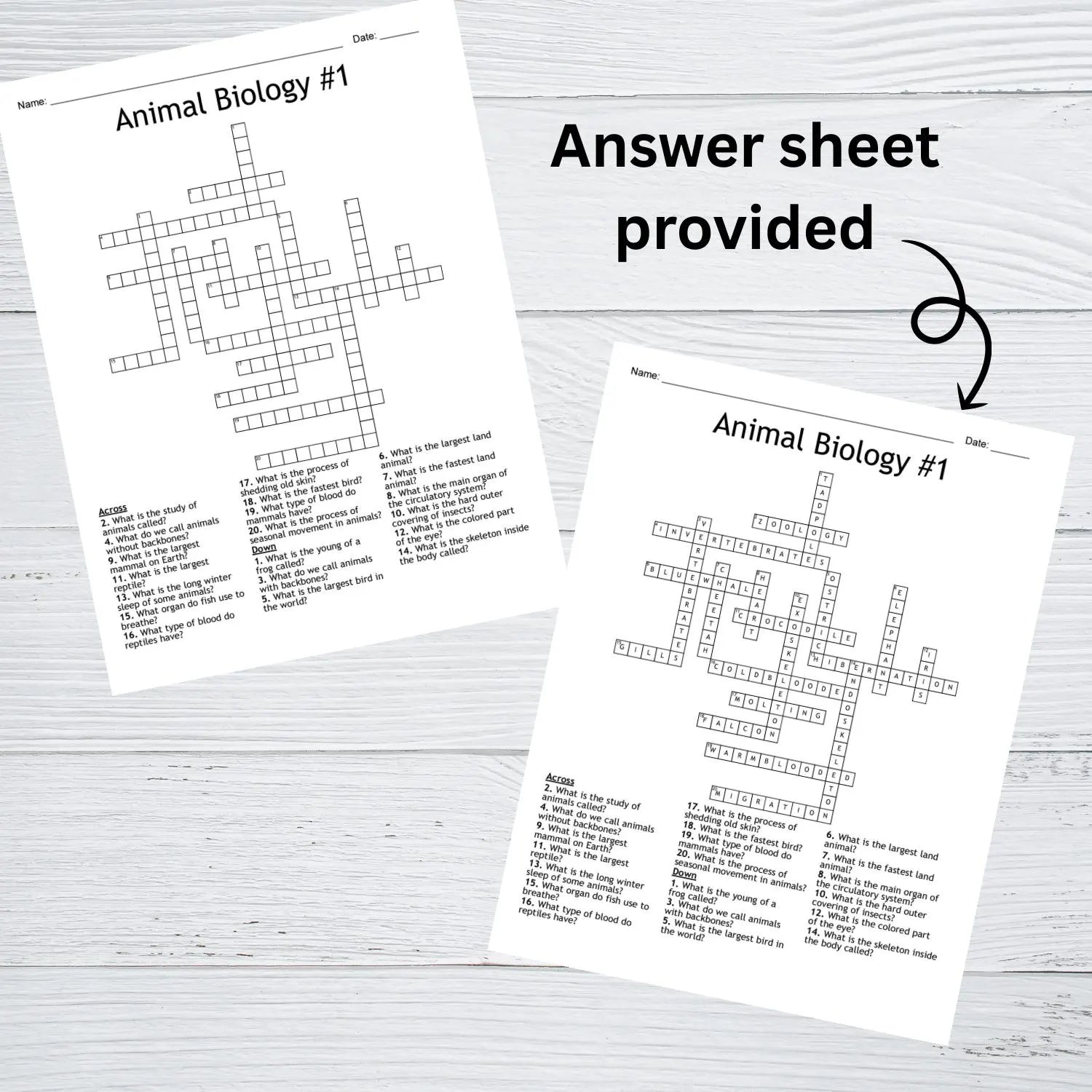 Printable STEM Crossword Puzzle Bundle | 20 Science, Technology, Math Puzzles with Answer Keys | Educational Classroom & Homeschool Activity