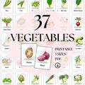 37 Vegetable Flashcards Printable, Veg Vocabulary Cards for ESL & Kids, Montessori Educational Learning Materials for Classroom Teachers PDF