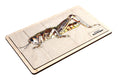 Parts of a Grasshopper Puzzle with Nomenclature Cards (6-9) (Printed) | Montessori Materials | Montessori Zoology | Three Part Cards