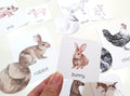 Farm Animal Matching Games, Animal Pattern Activity, Mother & Baby Animal Matching Cards, Farm Themed Preschool Activity, Nature Study Cards