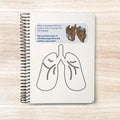 Respiratory activity book | Printable Worksheets | Homeschool Resources | Anatomy Curriculum | Learning Activities | STEM for kids
