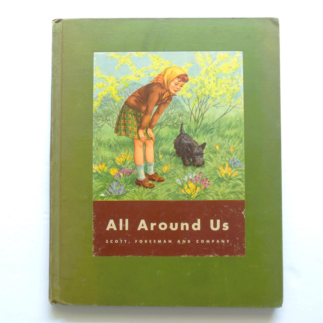 All Around Us Children's Book B, Basic Studies in Science Curriculum Foundation Series, Scott Foresman Copyright 1944