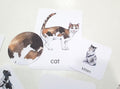 Farm Animal Matching Games, Animal Pattern Activity, Mother & Baby Animal Matching Cards, Farm Themed Preschool Activity, Nature Study Cards