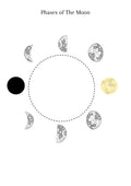 Space Science Curriculum, Solar System, Constellations, Science Curriculum, Unit Study, Homeschool Resources, STEM Activities