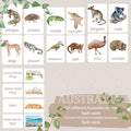 AUSTRALIA flashcards |VOCABULARY - Ausisie native animal | morning basket