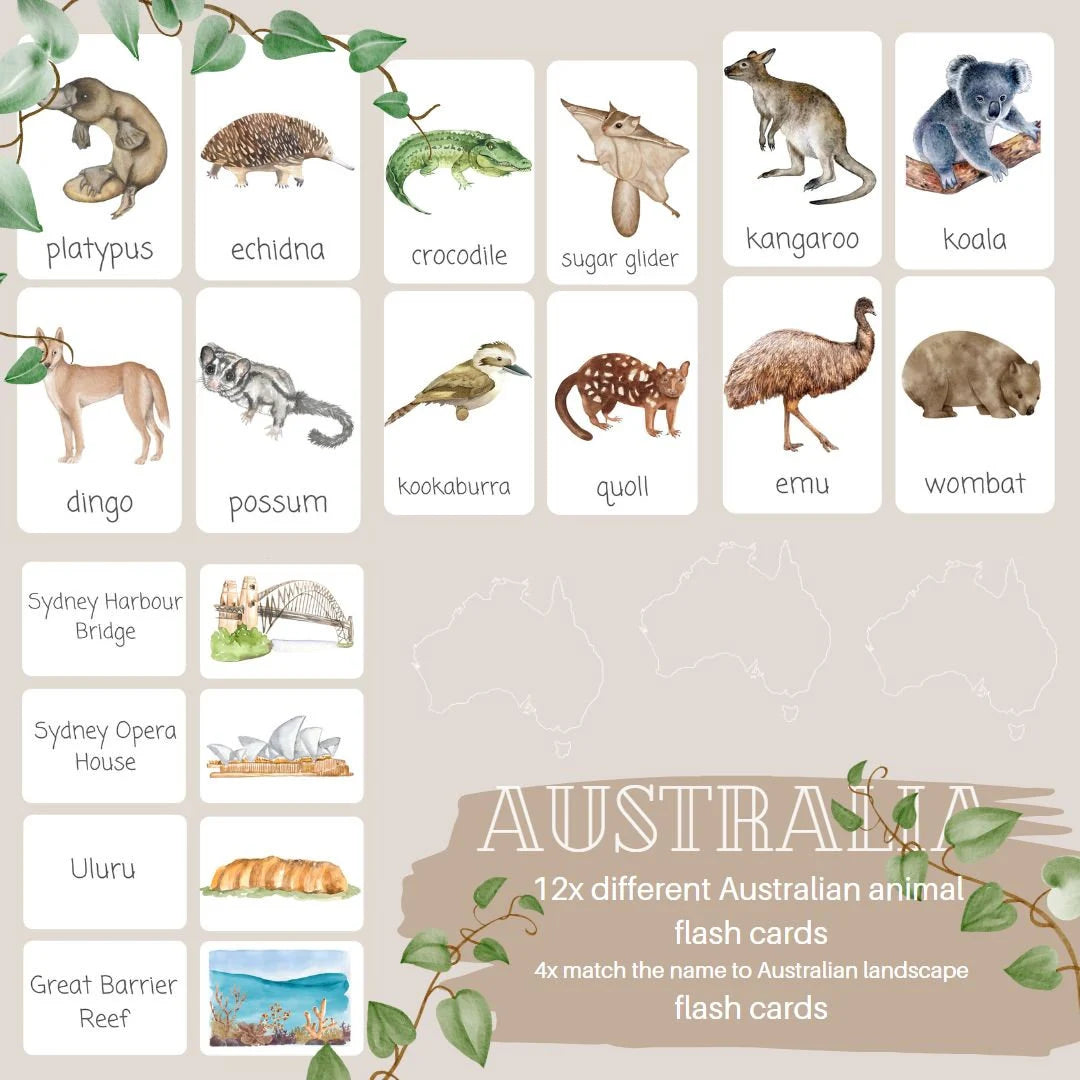 AUSTRALIA flashcards |VOCABULARY - Ausisie native animal | morning basket