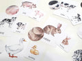 Farm Animal Matching Games, Animal Pattern Activity, Mother & Baby Animal Matching Cards, Farm Themed Preschool Activity, Nature Study Cards