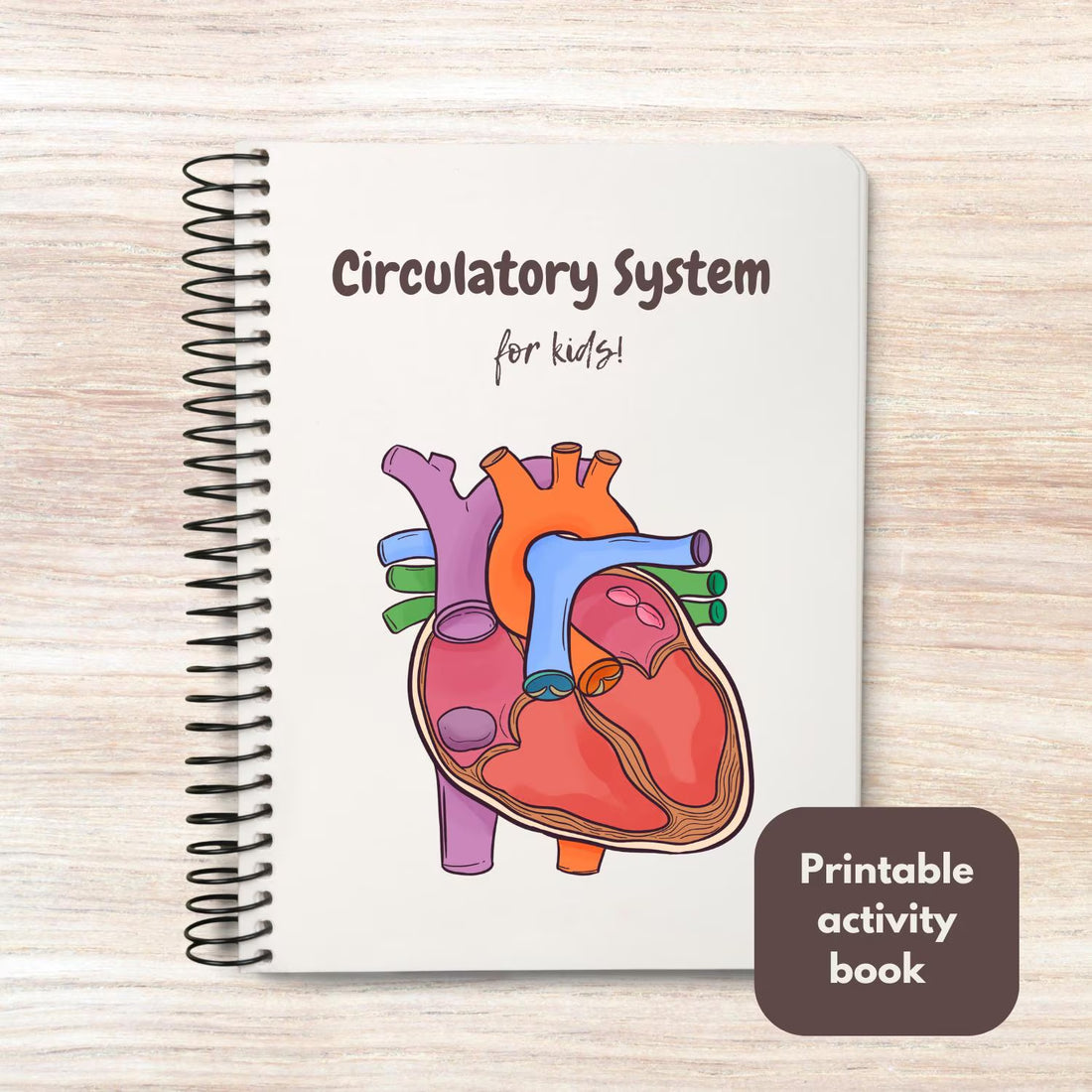 Circulatory system activity book | Printable Worksheets | Homeschool Resources | Anatomy Curriculum | Learning Activities | STEM for kids