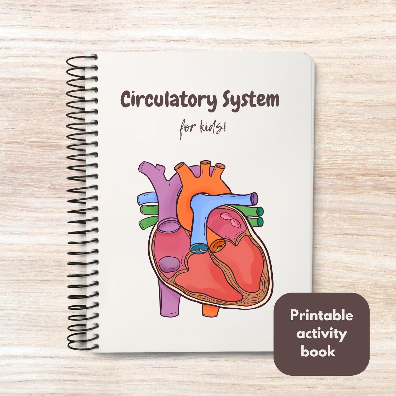 Circulatory system activity book | Printable Worksheets | Homeschool Resources | Anatomy Curriculum | Learning Activities | STEM for kids