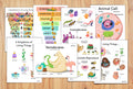 Science Posters and Workbook—12 Elementary Lessons for Kids on Biology & Botany and 14 Corresponding Memory Work Posters
