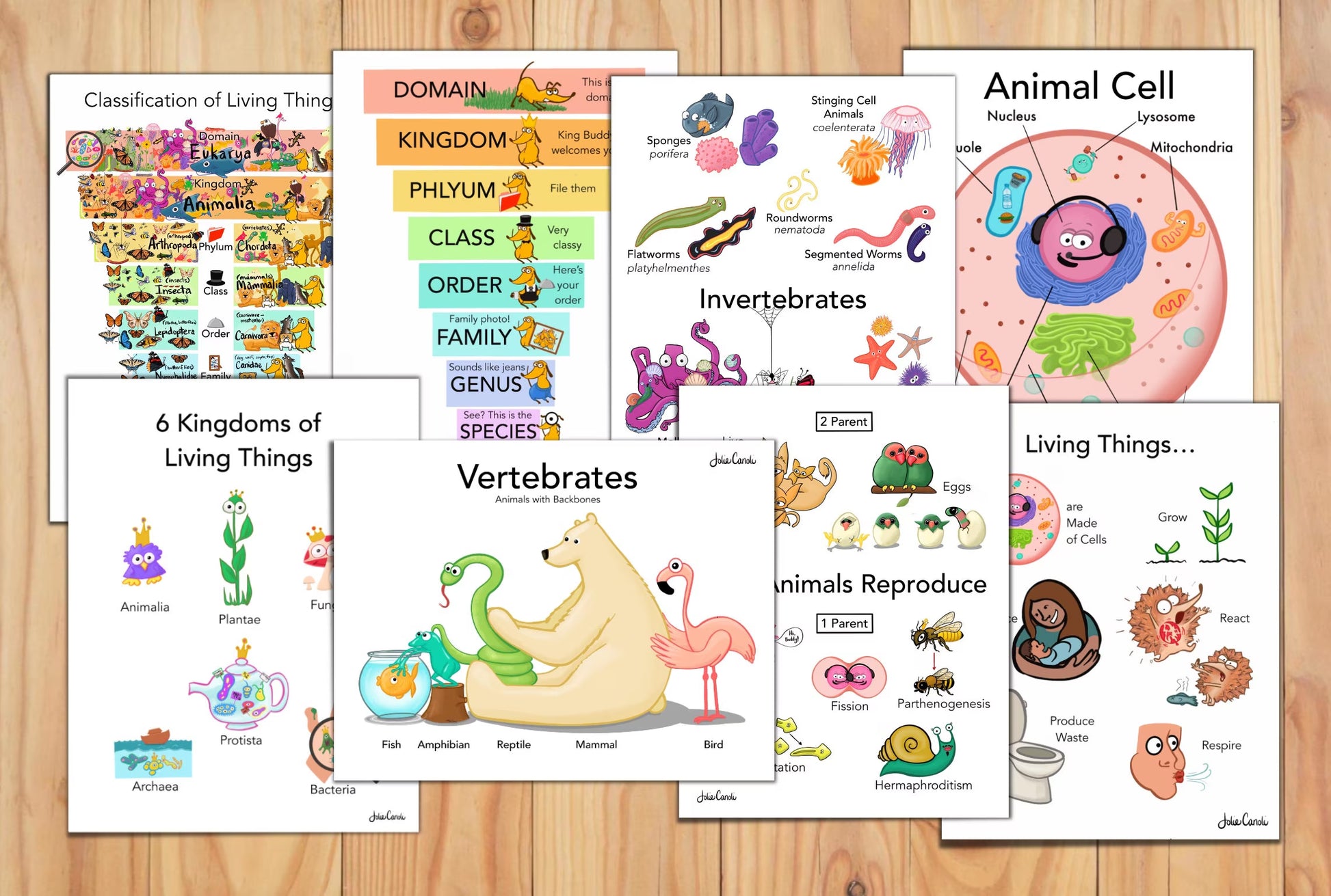 Science Posters and Workbook—12 Elementary Lessons for Kids on Biology & Botany and 14 Corresponding Memory Work Posters