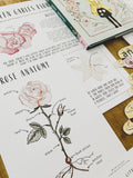 Literacy Mini Study | L.M. Montgomery | Anne of Green Gables Printables