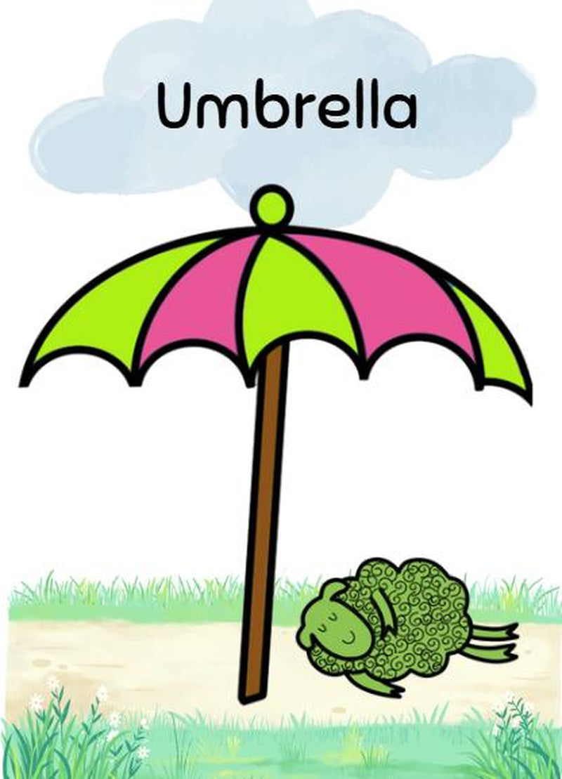 Where is the Green Sheep? Flashcards - Set of 14