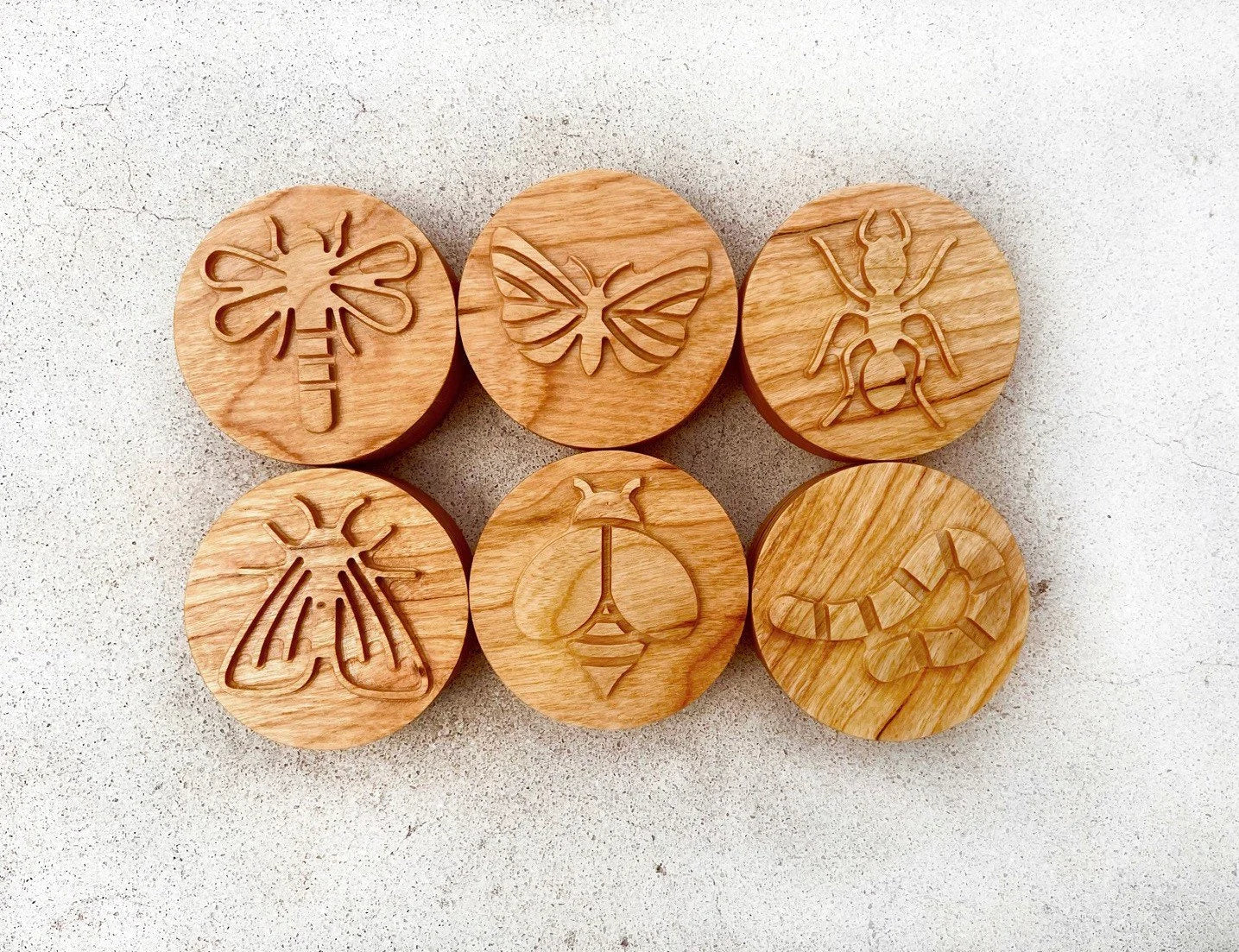 BUGS Cherry wood play dough STAMP SET Chunky playdough kids toddlers nature toy kit stampers homeschool lesson bee spring lifecycle insect
