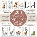 Alphabet With Pictures Flash Cards, Printable Phonetic Alphabet Montessori Cards, Preschool Alphabet Curriculum, ABC Cards Alphabet Wall Art
