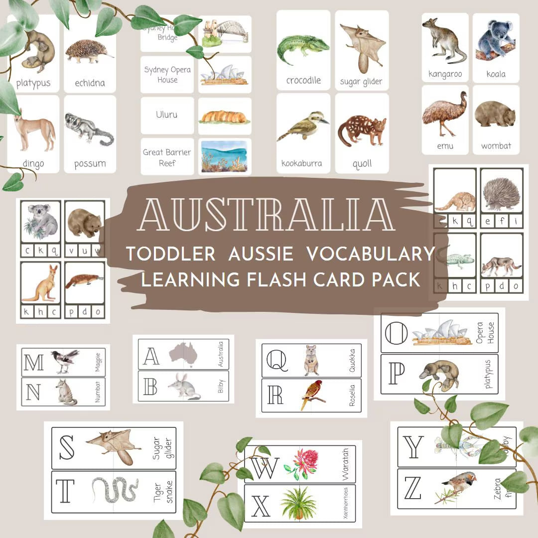 AUSTRALIA flashcards |VOCABULARY - Ausisie native animal | morning basket
