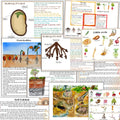 BOTANY bundle, Flower unit, Roots unit, Fruits unit, trees unit, Leaf unit, Anatomy bundle, life cycle, plant science unit, plant homeschool