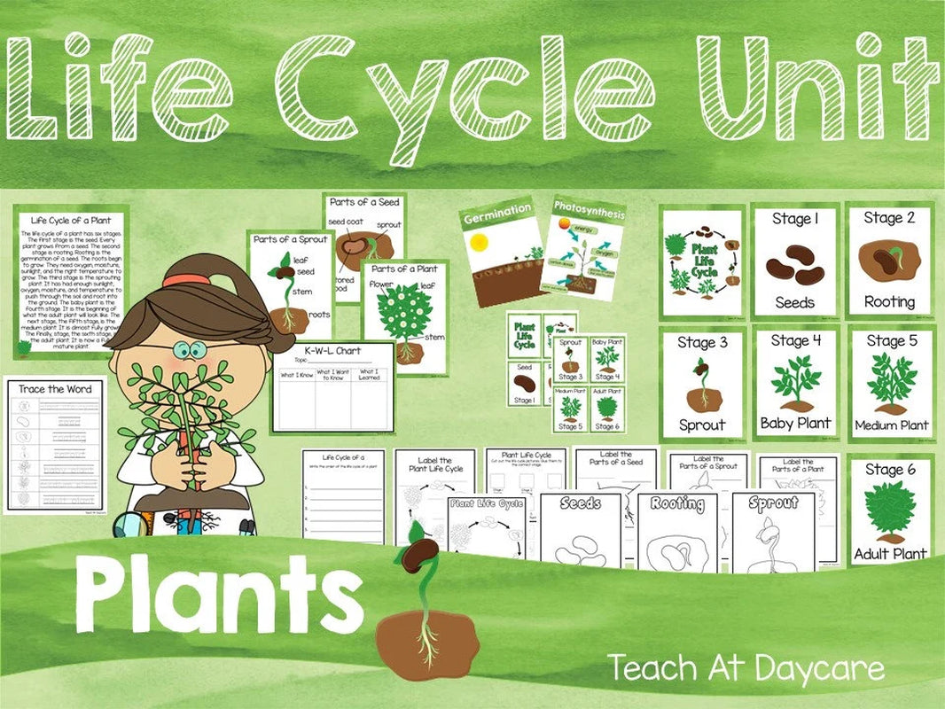 Life Cycle of a Plant Science Curriculum Unit. Worksheets, Activities, Posters, and more!