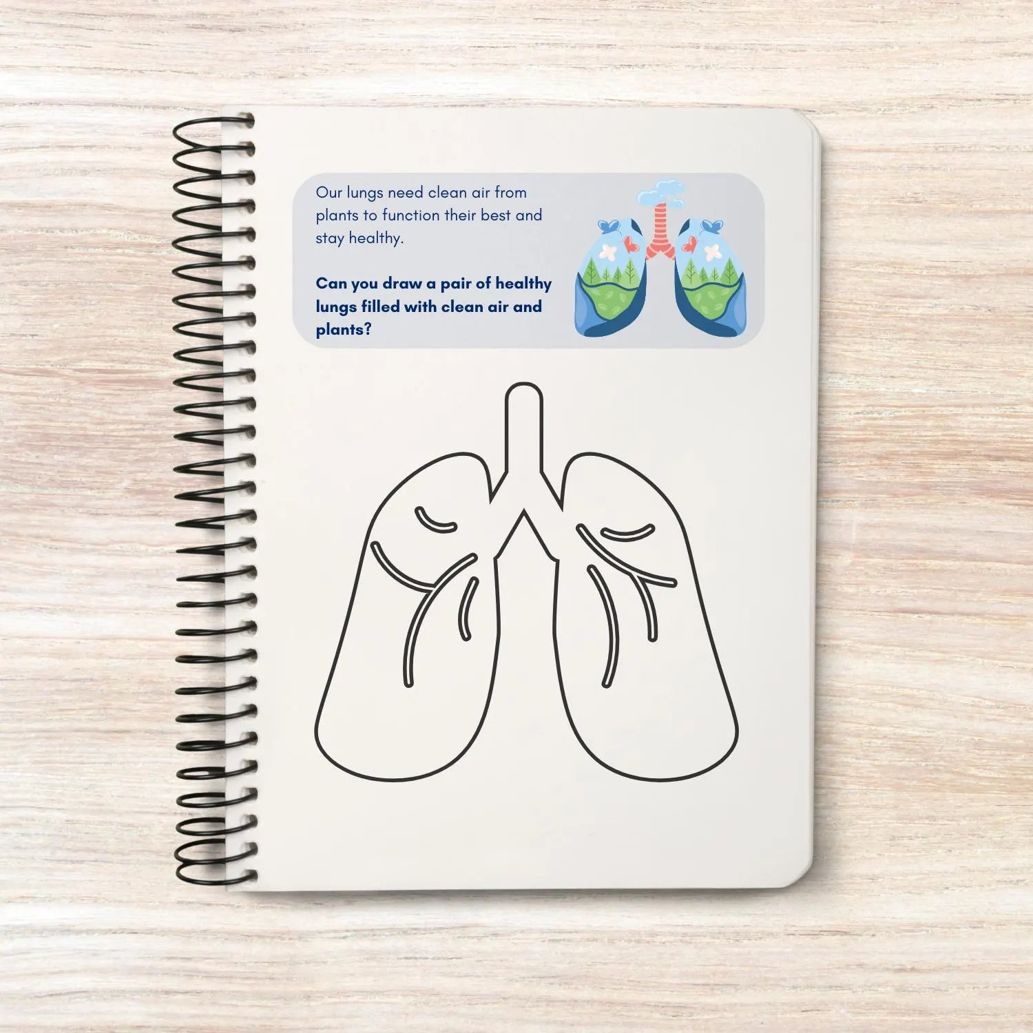 Respiratory activity book | Printable Worksheets | Homeschool Resources | Anatomy Curriculum | Learning Activities | STEM for kids