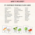 37 Vegetable Flashcards Printable, Veg Vocabulary Cards for ESL & Kids, Montessori Educational Learning Materials for Classroom Teachers PDF