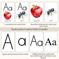 Alphabet With Pictures Flash Cards, Printable Phonetic Alphabet Montessori Cards, Preschool Alphabet Curriculum, ABC Cards Alphabet Wall Art