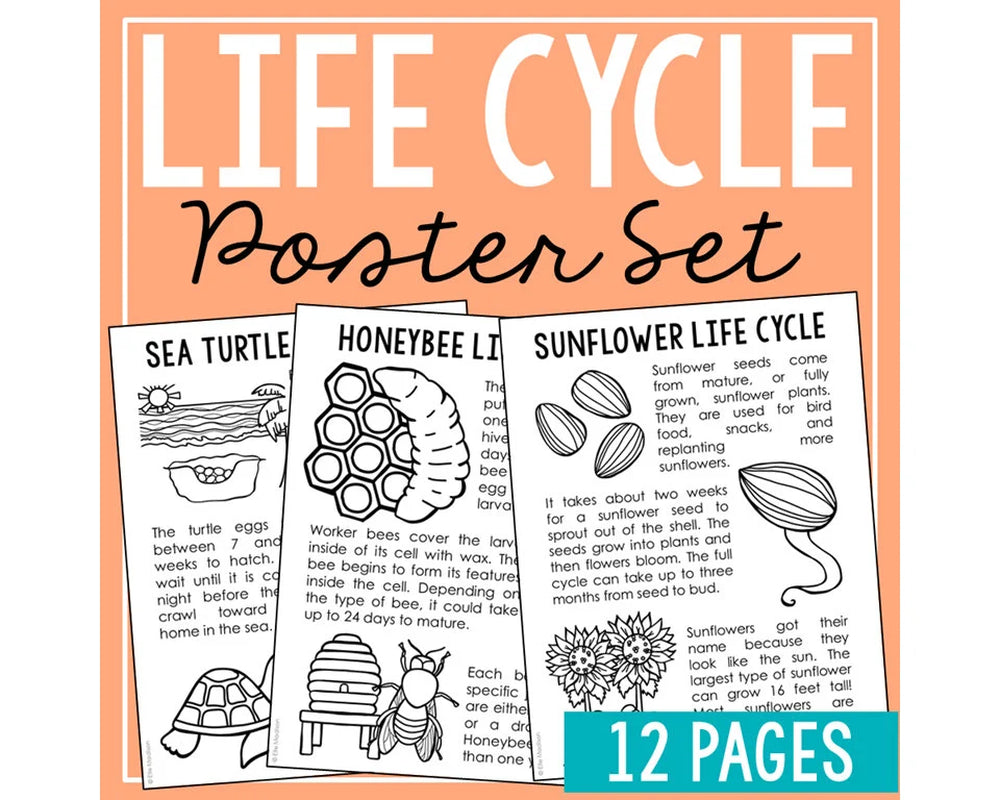 LIFE CYCLES Science Printable Activity | Homeschool Curriculum | Bulletin Board Decor Posters | Educational Wall Art | Homeschool Printables