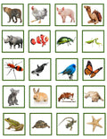 Montessori Science Plant & Animal Sort