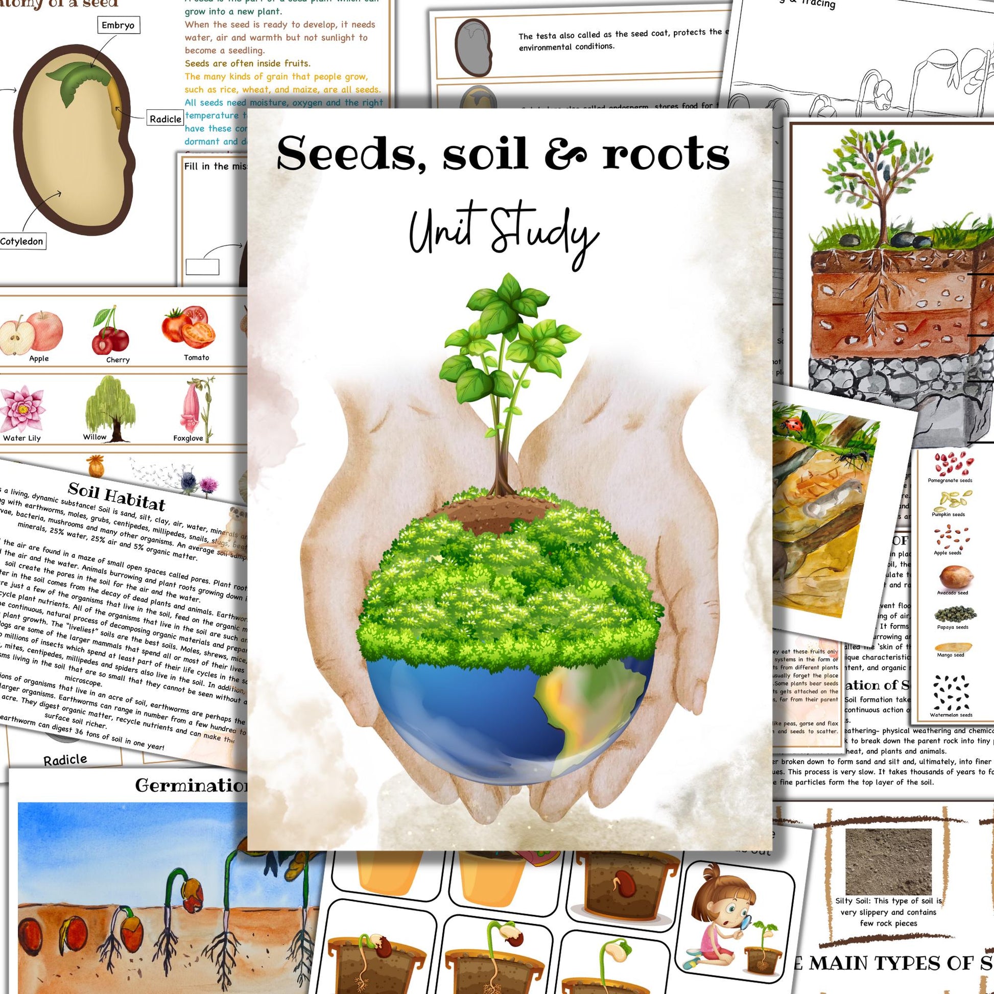 BOTANY bundle, Flower unit, Roots unit, Fruits unit, trees unit, Leaf unit, Anatomy bundle, life cycle, plant science unit, plant homeschool