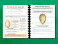 Botany Workbook for Homeschoolers - Grades 5–12 - Creative, Credit-Worthy Plant Science - Homeschool Middle School - Neurodivergent Friendly