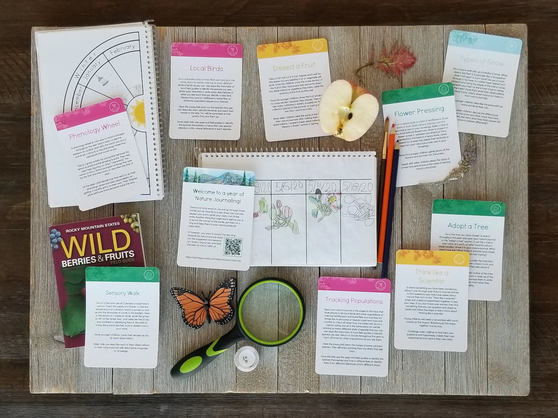 A Year of Nature Journaling Activity Cards