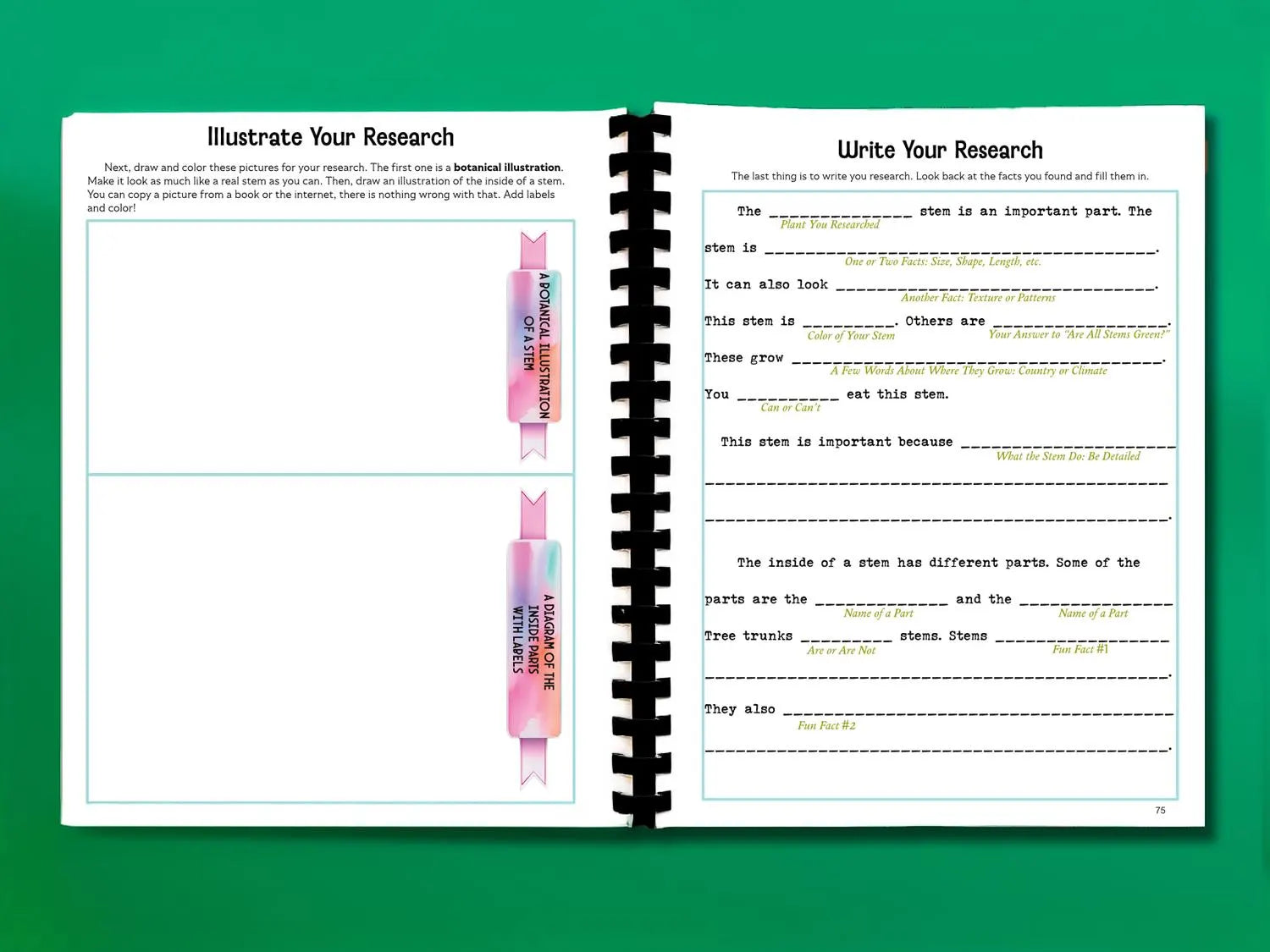 Botany Workbook for Homeschoolers - Grades 5–12 - Creative, Credit-Worthy Plant Science - Homeschool Middle School - Neurodivergent Friendly