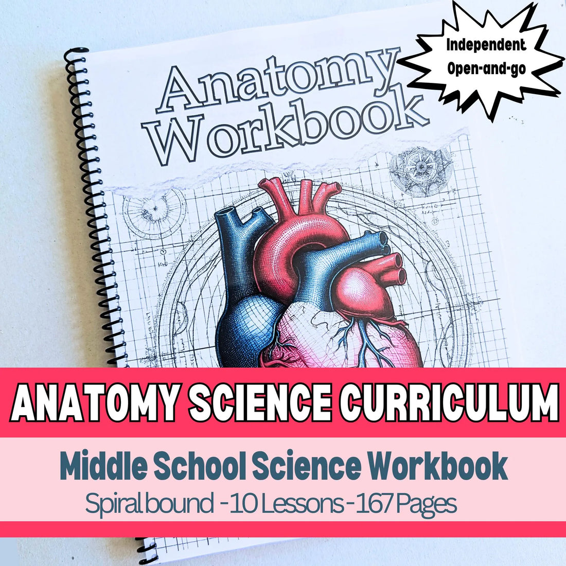 PRINTED Anatomy Workbook for Christian Homeschool Middle School Science Resource Guide for Challenge A and Classical Homeschooler Human Body