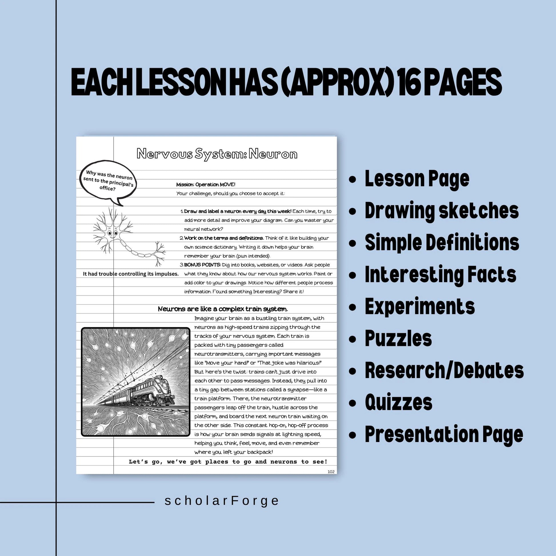 PRINTED Anatomy Workbook for Christian Homeschool Middle School Science Resource Guide for Challenge A and Classical Homeschooler Human Body