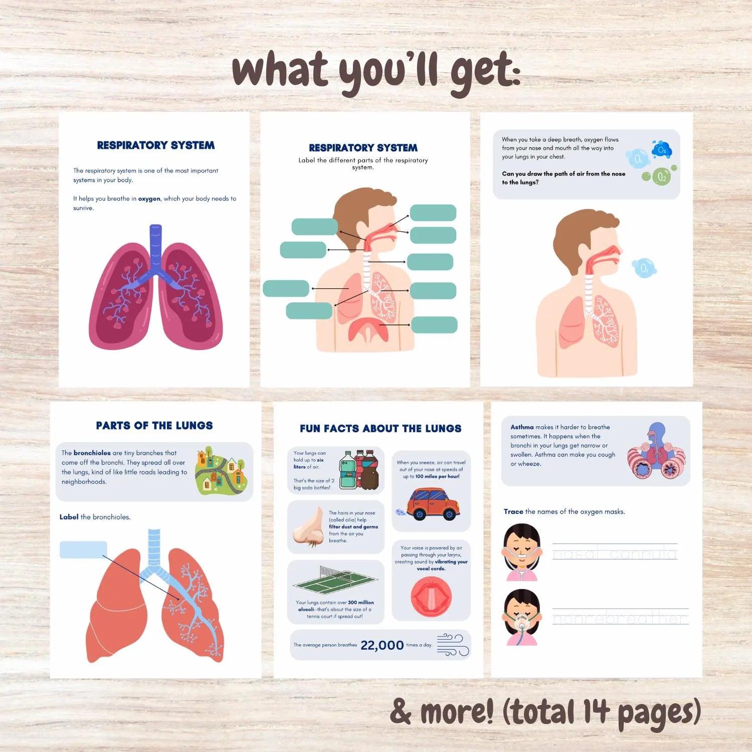 Respiratory activity book | Printable Worksheets | Homeschool Resources | Anatomy Curriculum | Learning Activities | STEM for kids