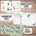 Insect Unit Study, Preschool Curriculum, Preschool Printable, Preschool Learning, Preschool Education, Montessori Materials, Homeschool