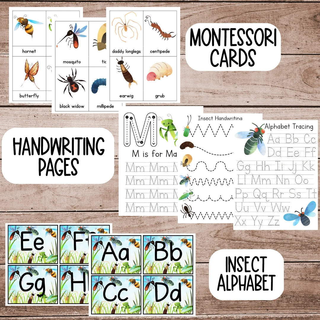 Insect Unit Study, Preschool Curriculum, Preschool Printable, Preschool Learning, Preschool Education, Montessori Materials, Homeschool